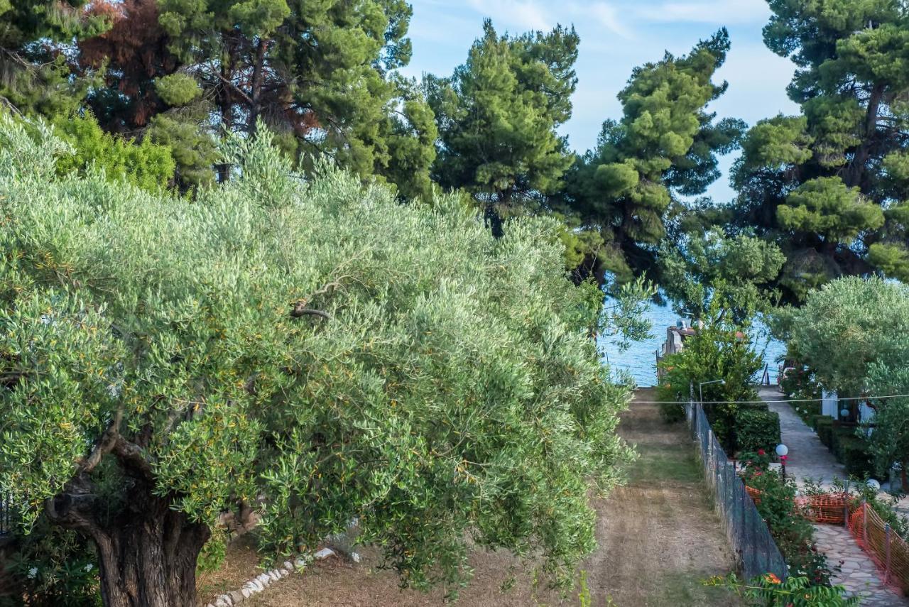 Citro By The Sea Hotel Metamorfosi  Exterior photo