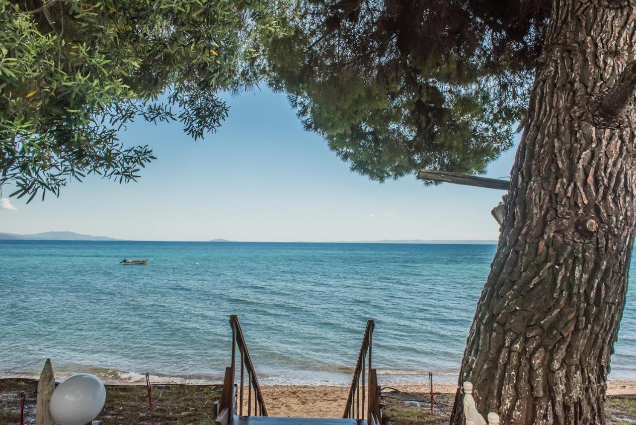 Citro By The Sea Hotel Metamorfosi  Exterior photo